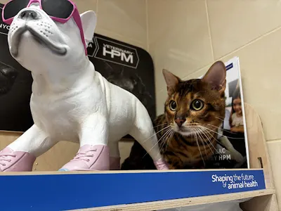 PRZYCHODNIA WETERYNARYJNA Tomasz Chomczyński